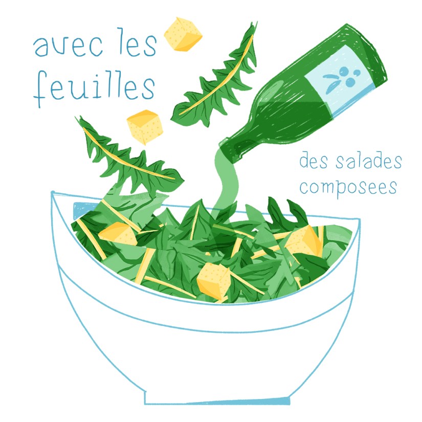 illustration recette plante sauvage le pissenlit 2