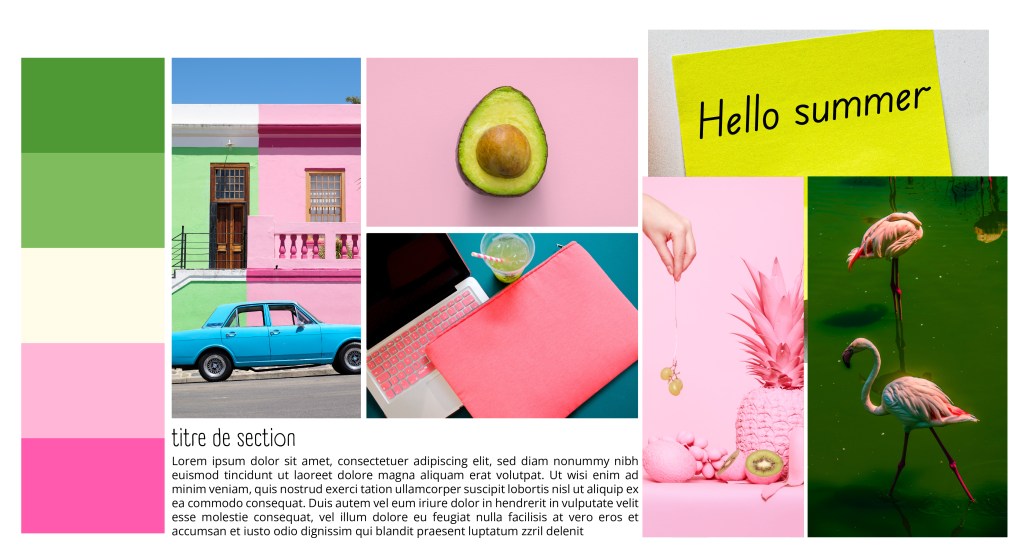 charte graphique exemple