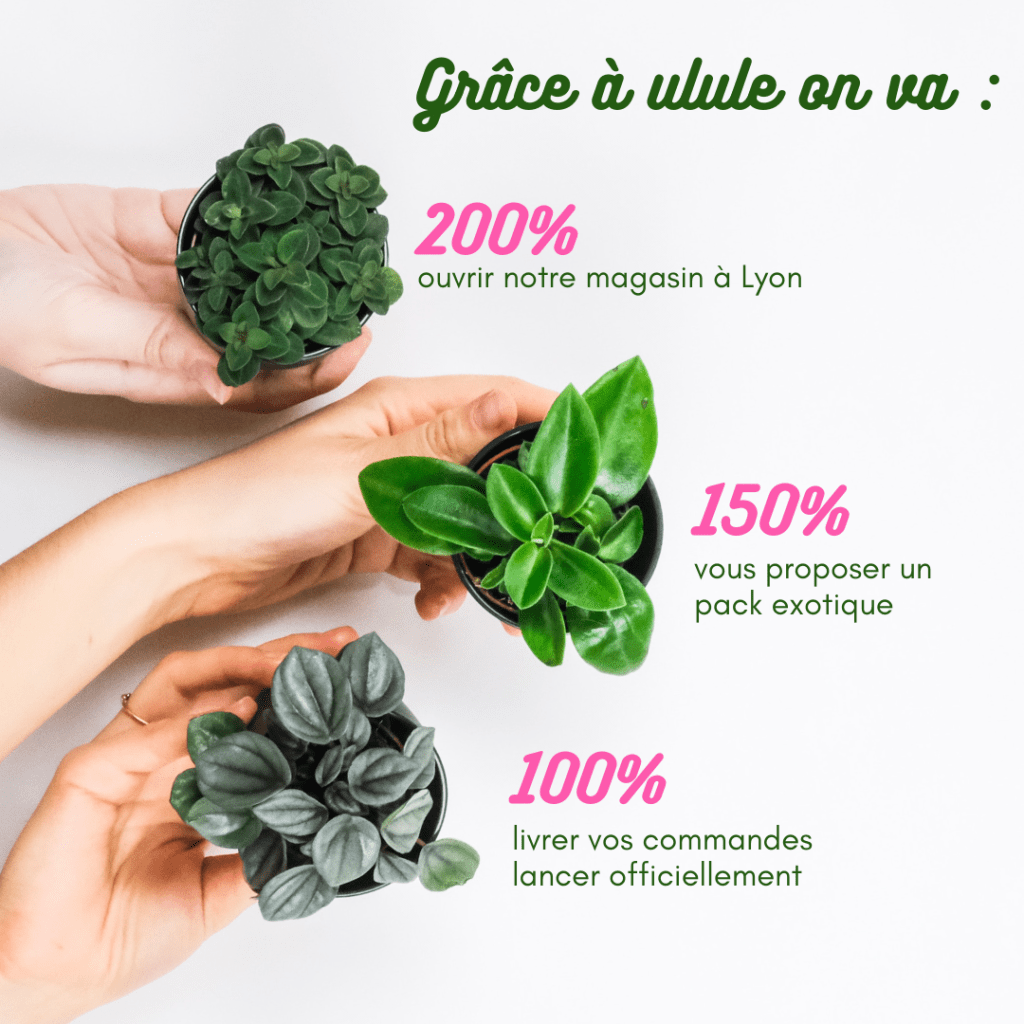 idée post crowdfunding 9 les contreparties supérieures