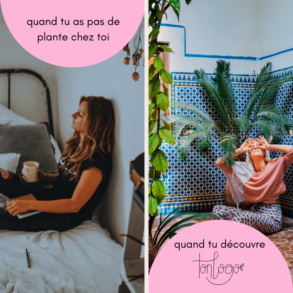 idée 2 post crowdfunding : avant/après