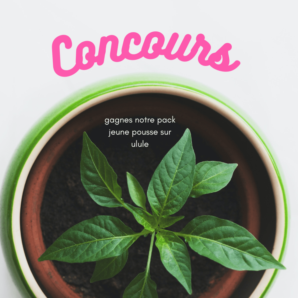 idée post crowdfunding 5 un concours