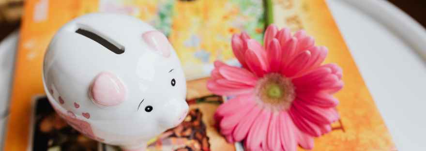 image cochon tirelire