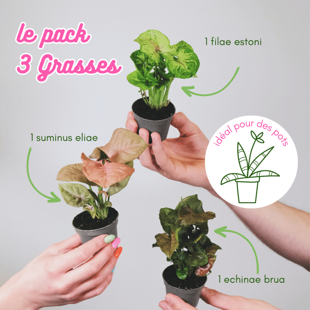 idée 3 post crowdfunding packshot bis