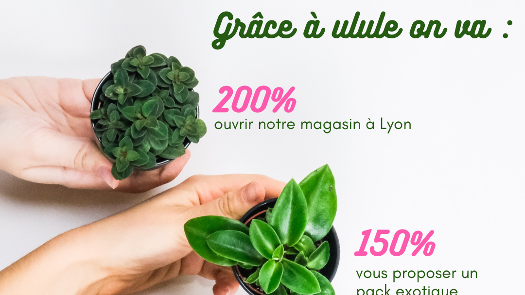 idée de post pour lancement de marque : les paliers