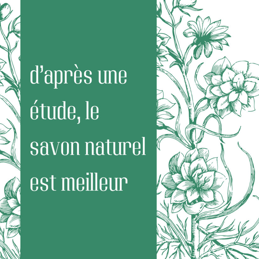 créer des templates pour son feed instagram