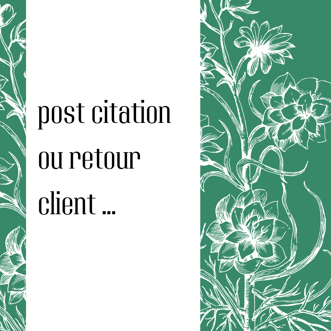 exemple template réseaux sociaux 5