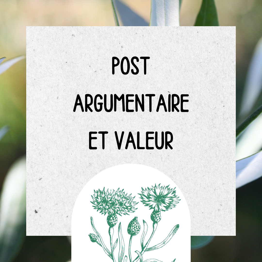 exemple template réseaux sociaux 3