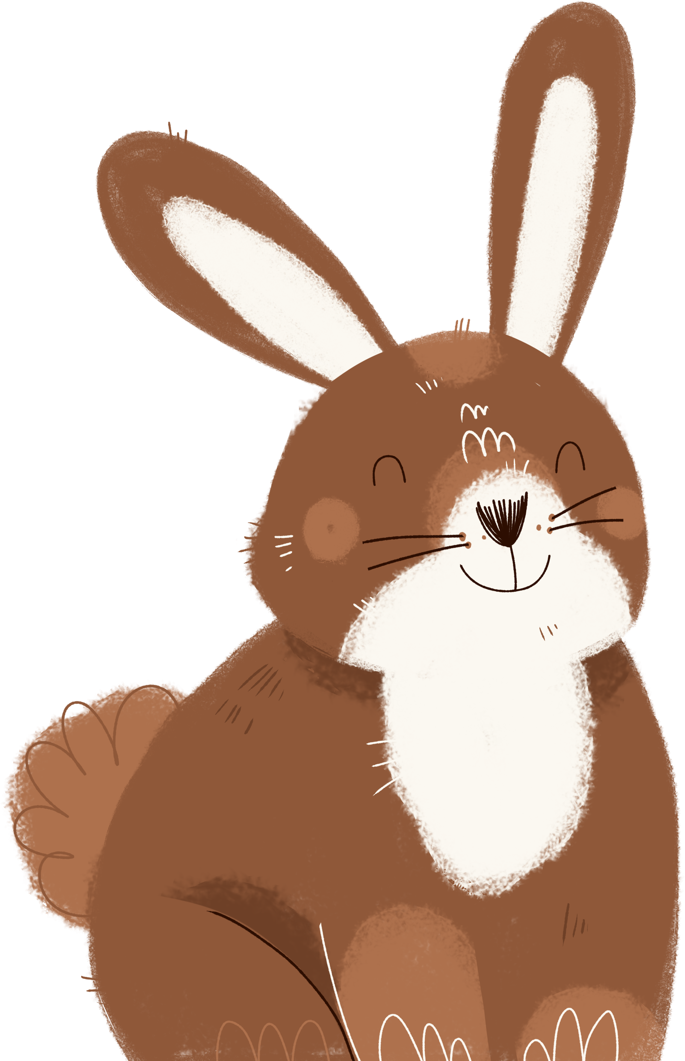 illustration identité visuelle