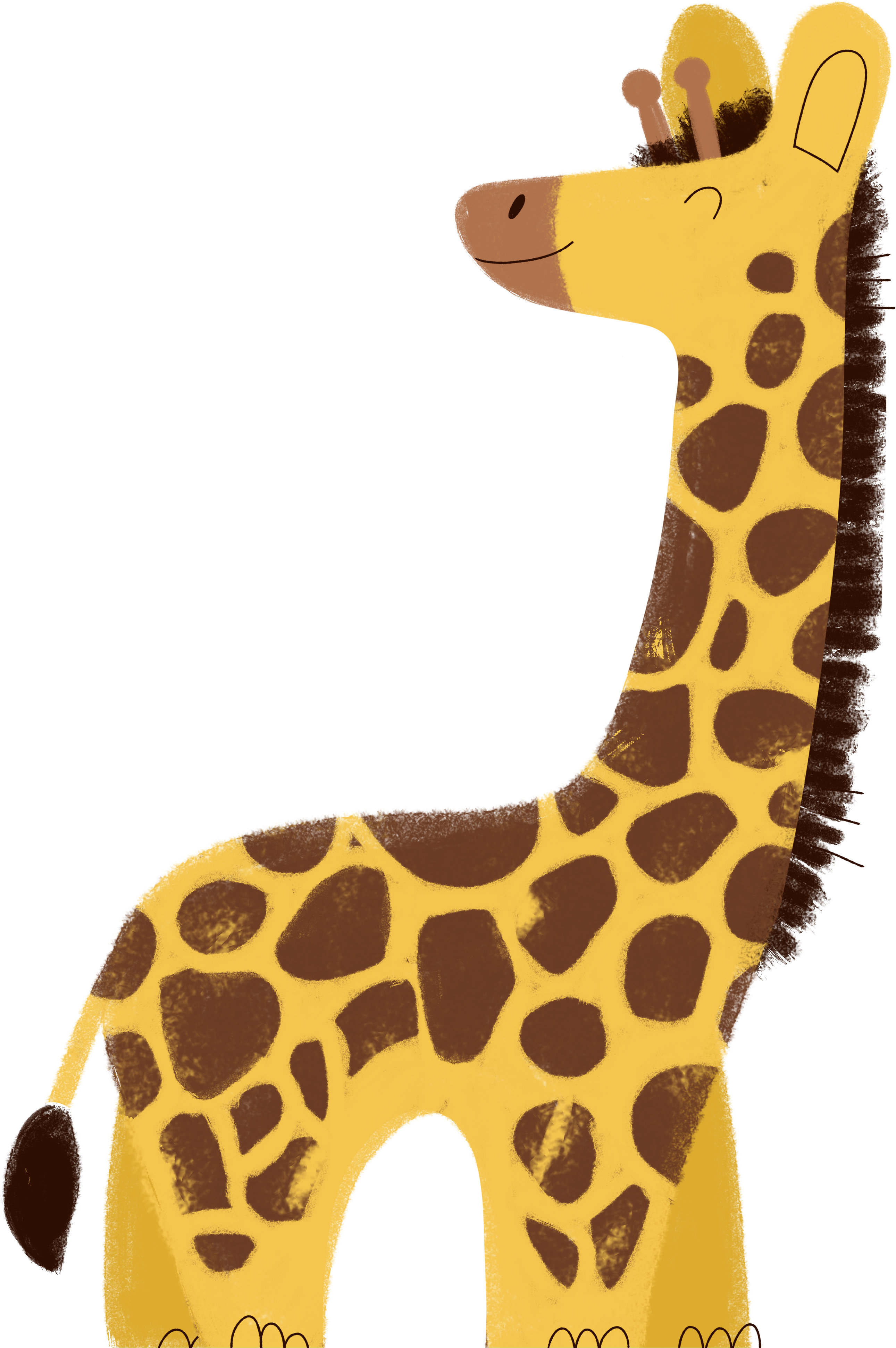 illustration identité visuelle